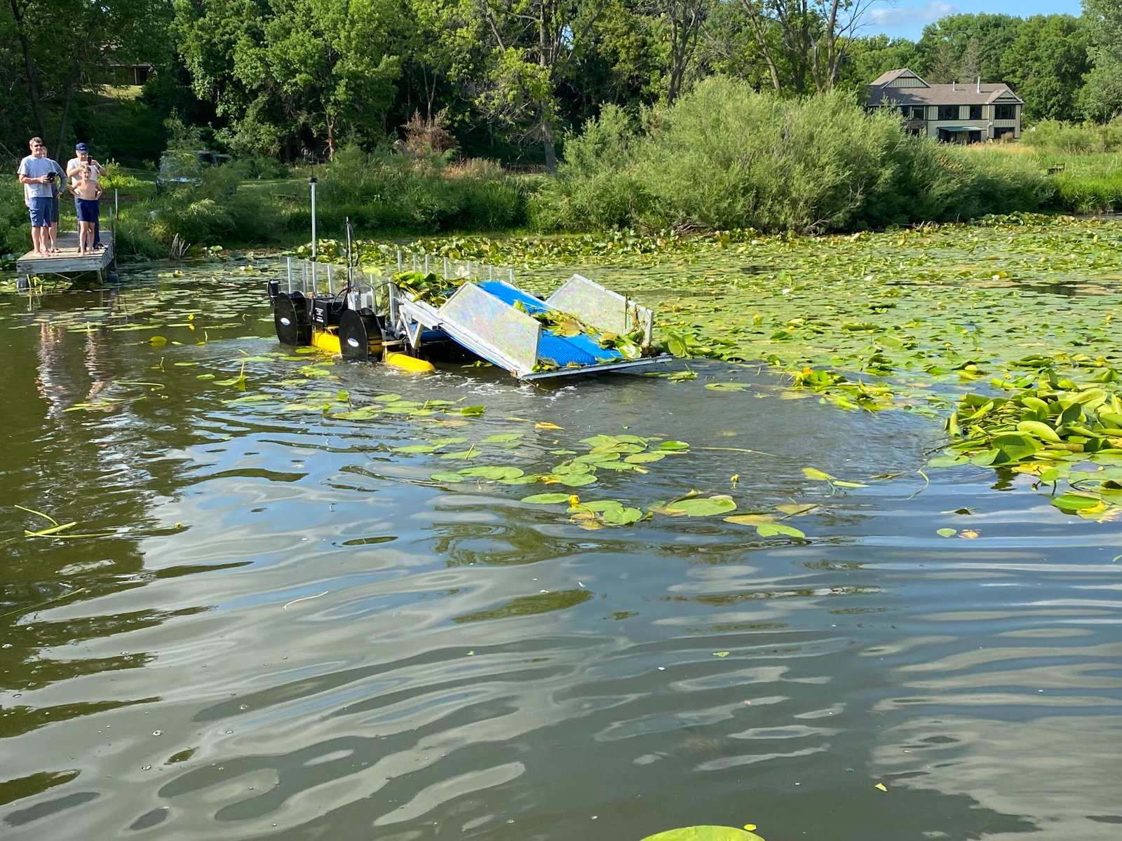 Removal of algae